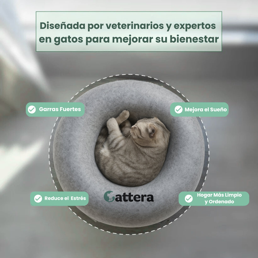 CatteCueva Anti Estrés & Resistente