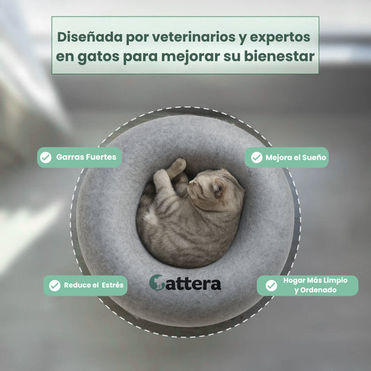 CatteCueva Anti Estrés & Resistente