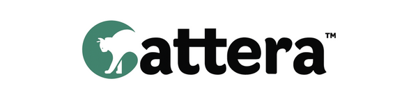 Cattera